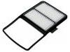 Air Filter:17801-21040