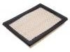 Filtro de aire Air Filter:16546-AA030