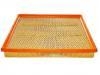 Air Filter:77 01 044 595