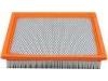 Air Filter:4R3Z-9601-AA