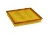 Air Filter:82 00 490 109