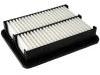 Air Filter:P501-13-3A0